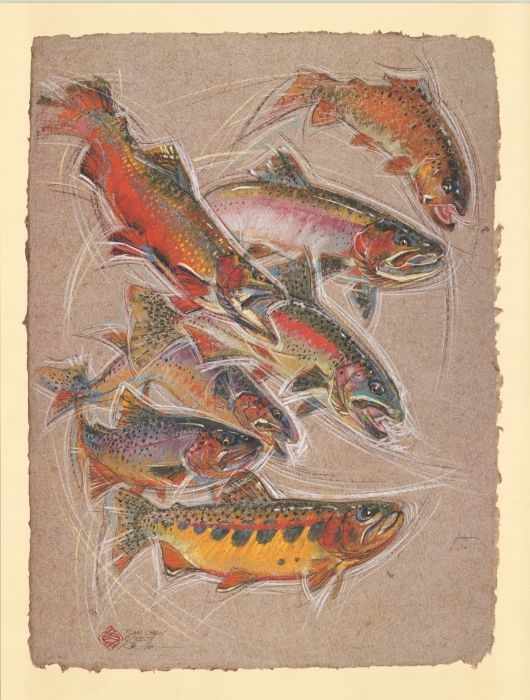 530x700 Trout Gathering Freshwater Fish Charts - Freshwater Fish Painting