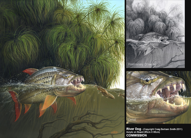737x534 Craig Bertram Smith - Freshwater Fish Painting