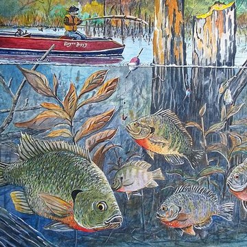 360x360 Don Hand - Freshwater Fish Painting