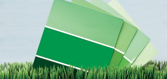 551x262 Eco Friendly Painting In Dc Metro Amp Palm Beach Fl Benchmark Painting - Friendly Painting