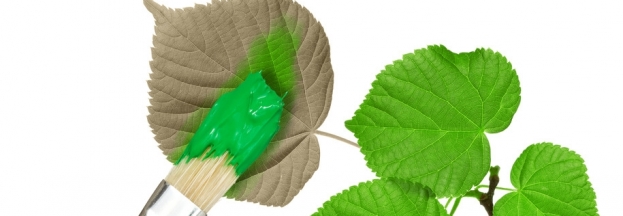 623x216 Non Toxic Paint Guide - Friendly Painting