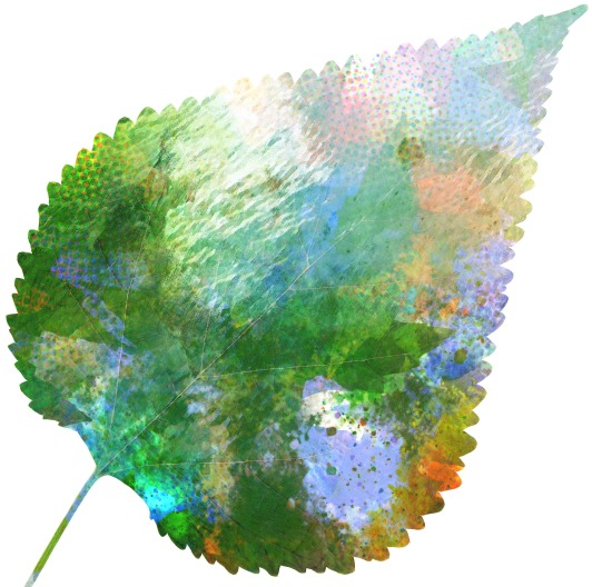 532x528 Earth Friendly Painting And Your Business What You Should Know - Friendly Painting