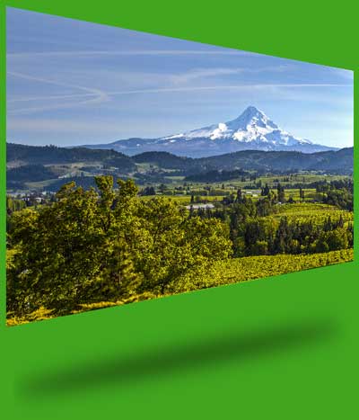 400x467 Eco Friendly Painting Contractors Green Painters Portland - Friendly Painting