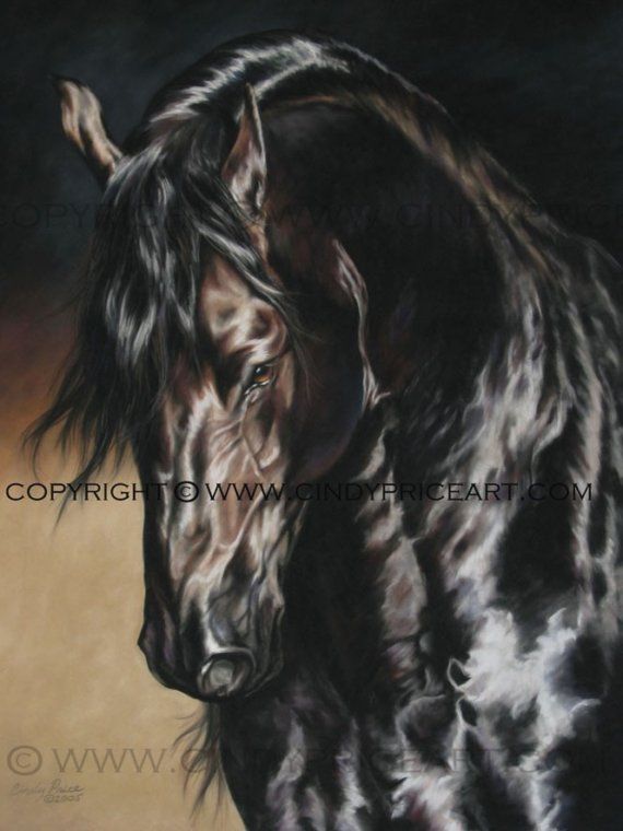 570x760 Friesian Black Horse Print Of Pastel Painting. Equine Art By Cindy - Friesian Horse Painting