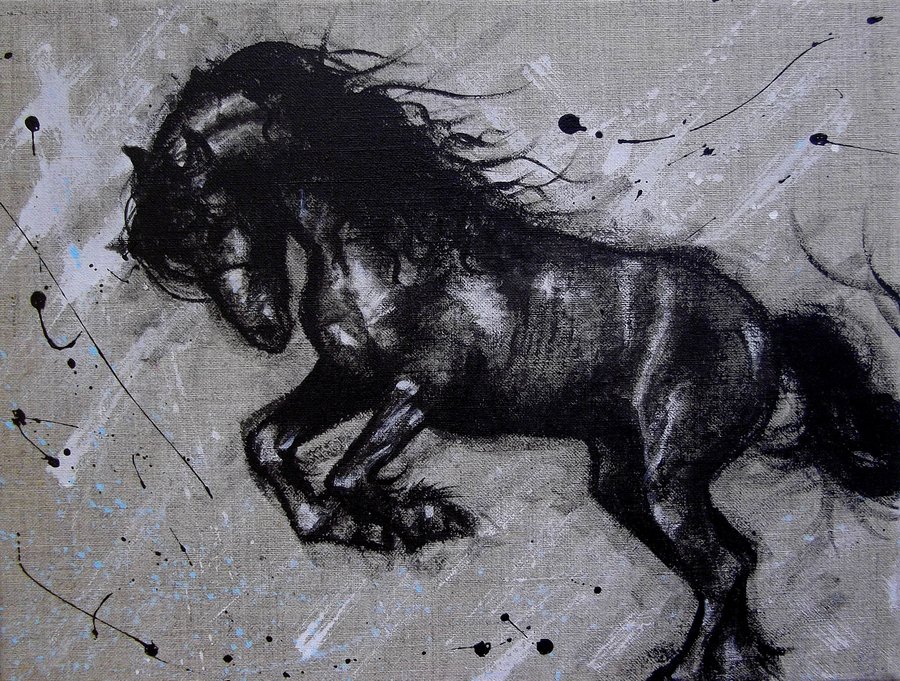 900x681 Friesian Horse By Romanticideuh - Friesian Horse Painting