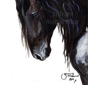300x290 Black Friesian Horse Prints Of Original Watercolour Painting - Friesian Horse Painting