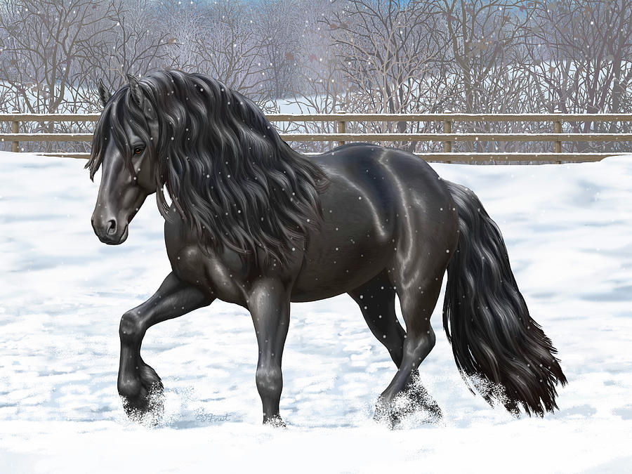 900x675 Black Friesian Horse In Snow Painting By Crista Forest - Friesian Horse Painting