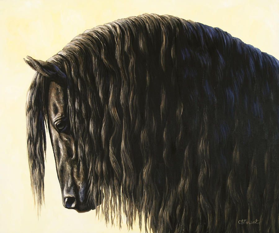 900x750 Friesian Painting - Friesian Painting