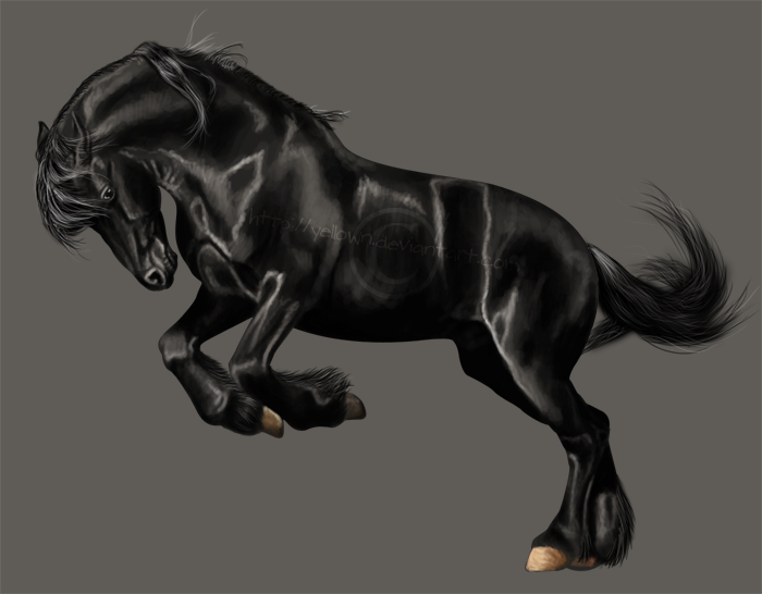 700x546 Friesian Speed Painting By Yellown - Friesian Painting