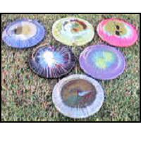 200x200 Interactive Items Rental - Frisbee Painting
