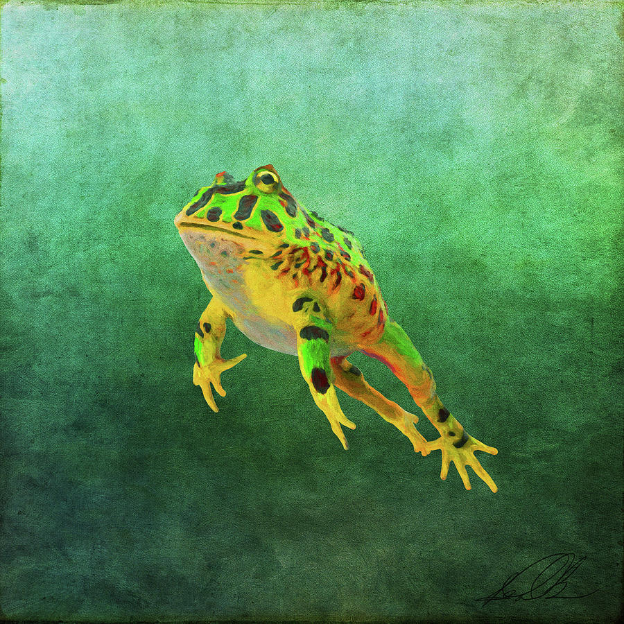 900x900 Pacman Frog Painting By Gary D Baker - Frog Painting