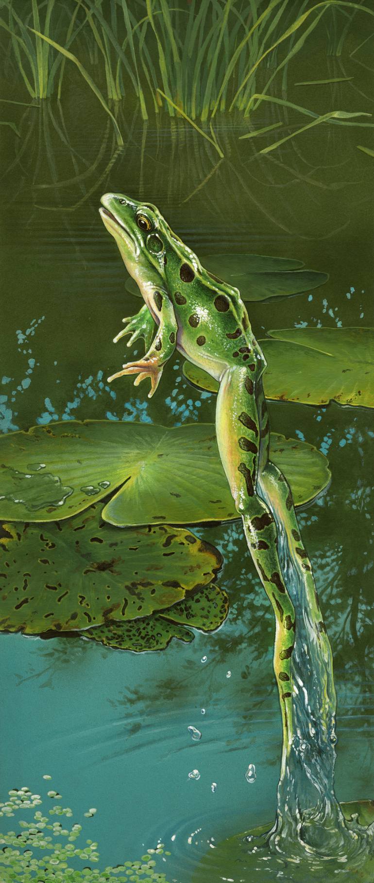 770x1817 Saatchi Art Marsh Frog Painting By Artur Lobus - Frog Painting