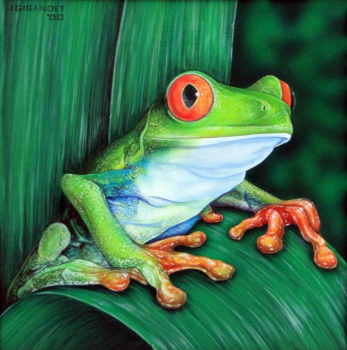 700x706 Sticky Fingers - Frog Painting