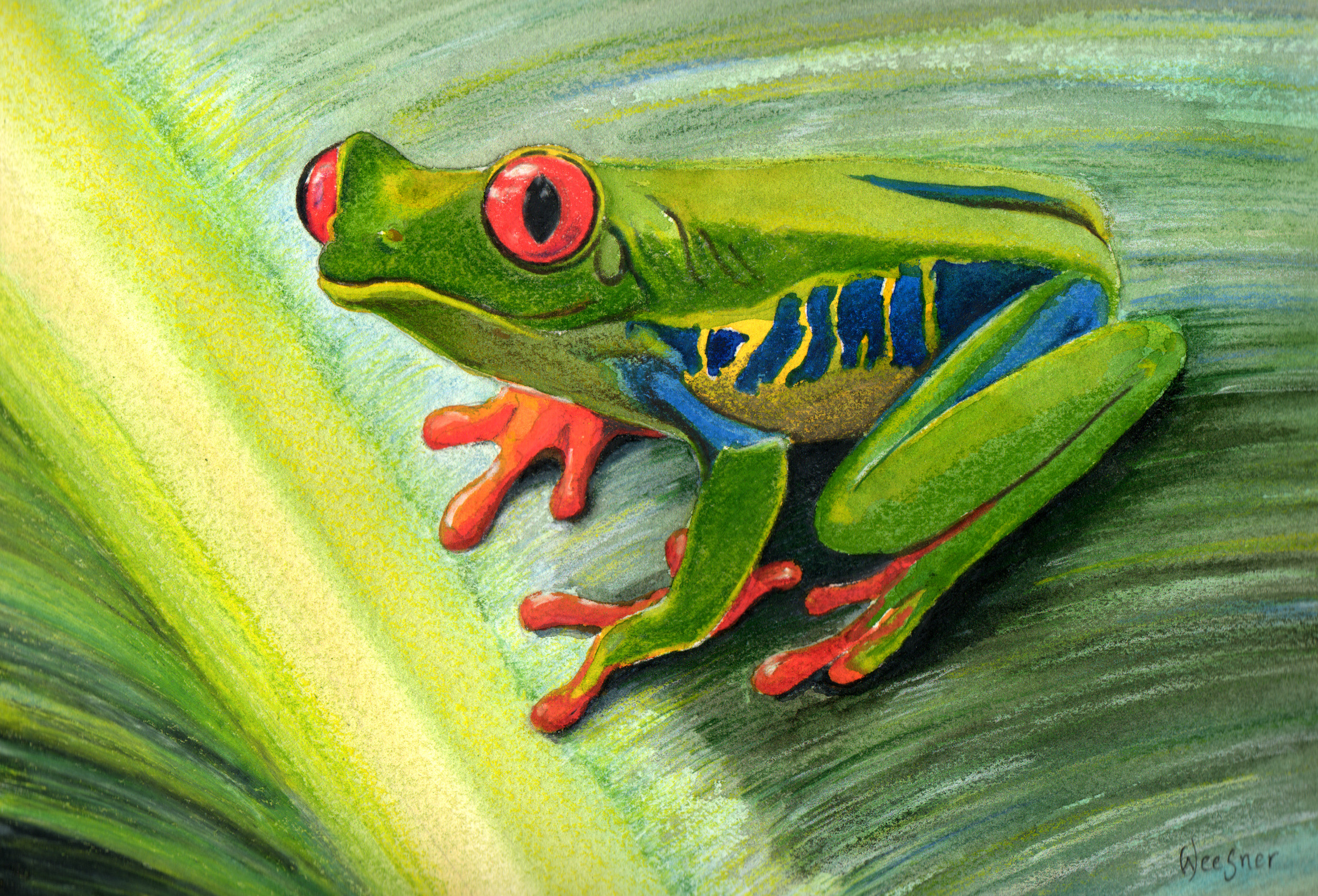 2496x1697 Tree Frog Colt's Comments - Frog Painting