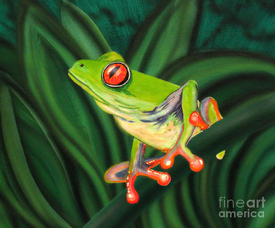 900x747 Tropical Tree Frog Painting By Marty Calabrese - Frog Painting