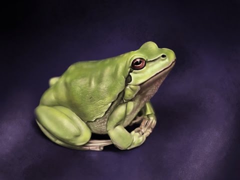 480x360 Realistic Frog - Frog Painting