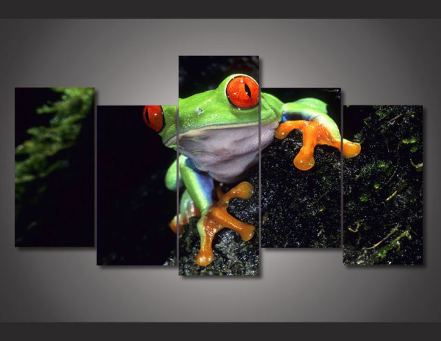 640x495 Frame Picture Red Eye Tree Frog Painting Room Decor Wall Art - Frog Painting
