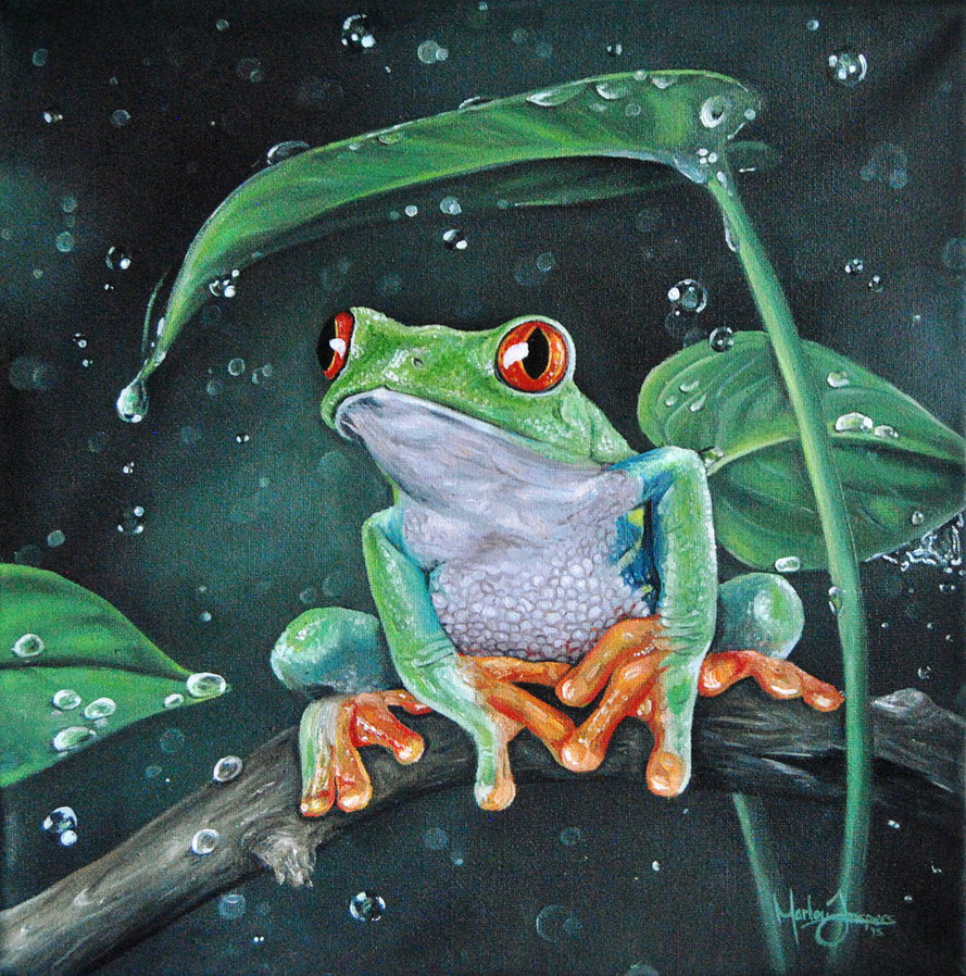 889x898 Frog Painting By Marlouj - Frog Painting