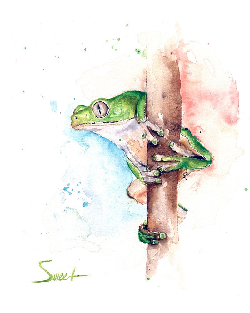 800x1000 Frog Watercolor Painting - Frog Painting For Kids