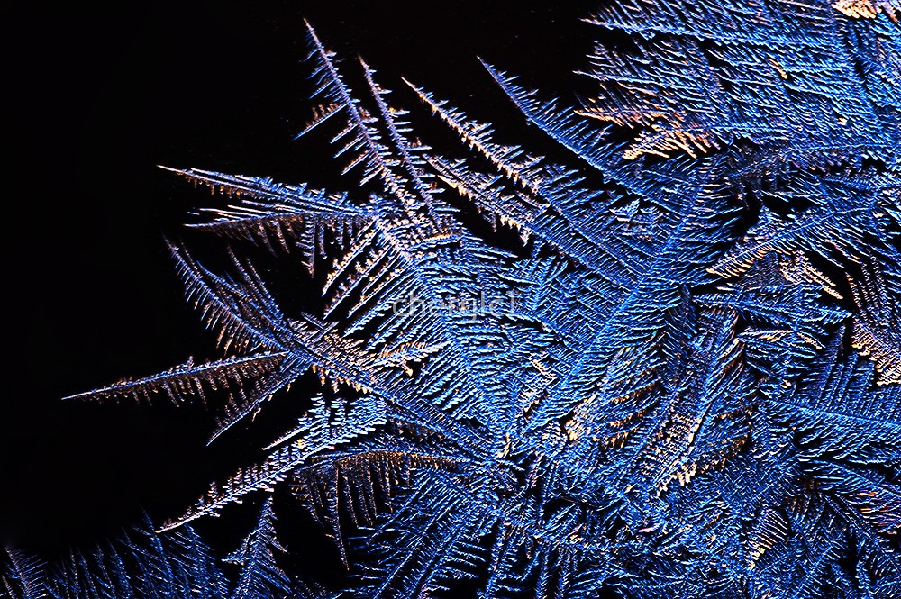 1000x665 Jack Frost Painting! By Cherylc1 Redbubble - Frost Painting