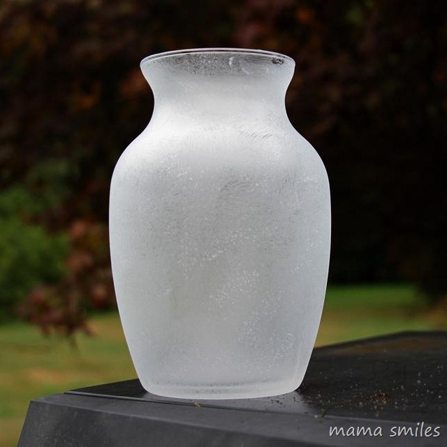 640x640 Glass Vase Painting Designs - Frosted Glass Painting