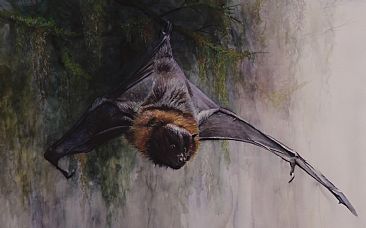 366x228 Fruit Bat - Fruit Bat Painting