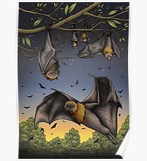 210x230 Fruit Bat Painting Amp Mixed Media Posters Redbubble - Fruit Bat Painting