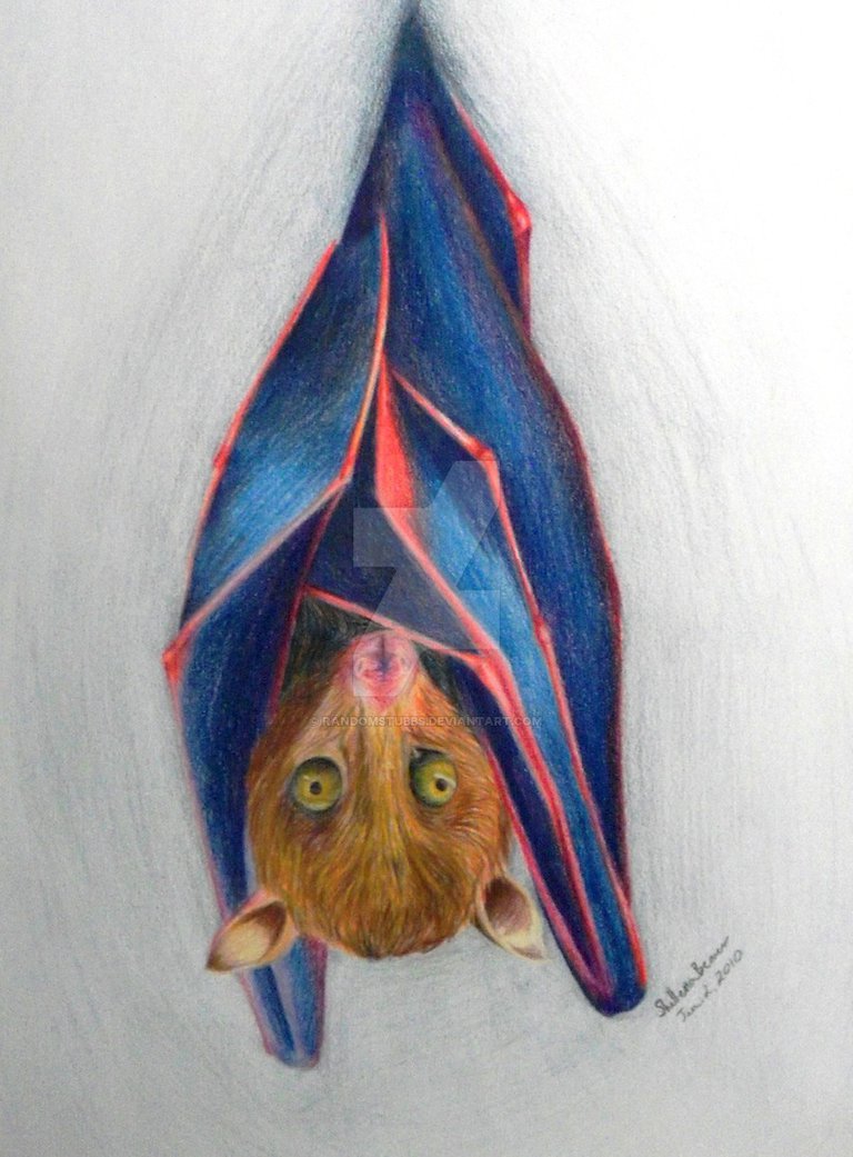 768x1041 Fruit Bat By Randomstubbs - Fruit Bat Painting