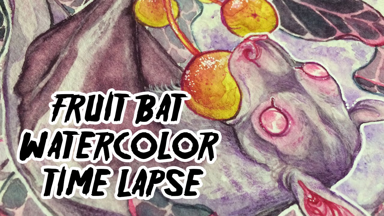 1280x720 Fruit Feast For A Fruit Bat! Watercolor Painting Time Lapse - Fruit Bat Painting