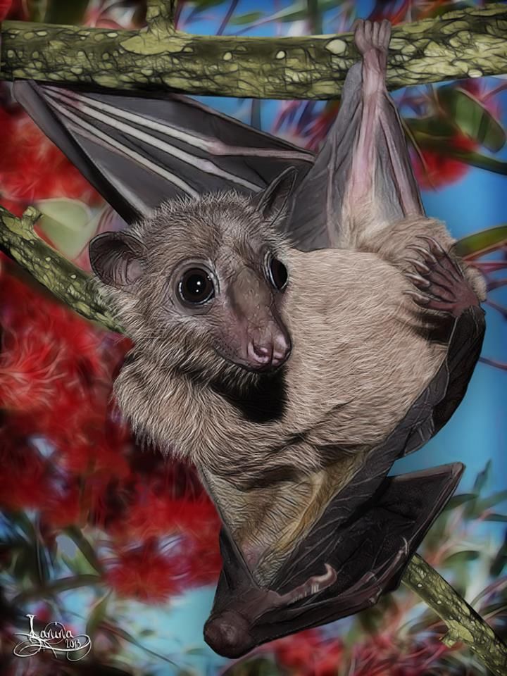 Fruit Bat Painting at PaintingValley.com | Explore collection of Fruit ...