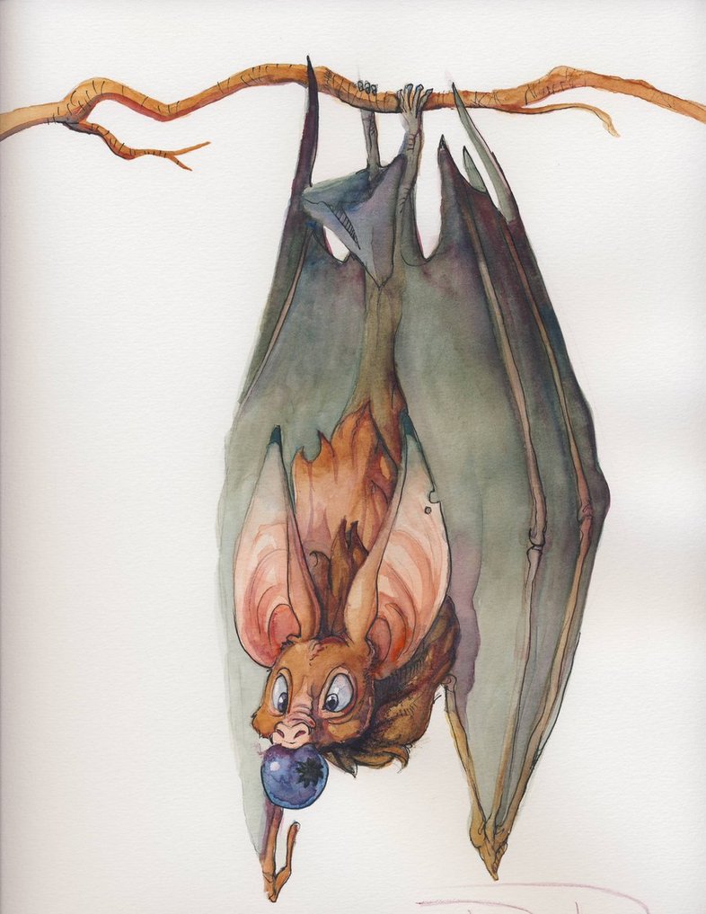 786x1017 Commission 3 - Fruit Bat Painting