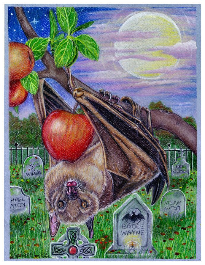 691x891 Egyptian Fruit Bat Wildlife Art Print 9 X 12 By Spirithorsestudio - Fruit Bat Painting