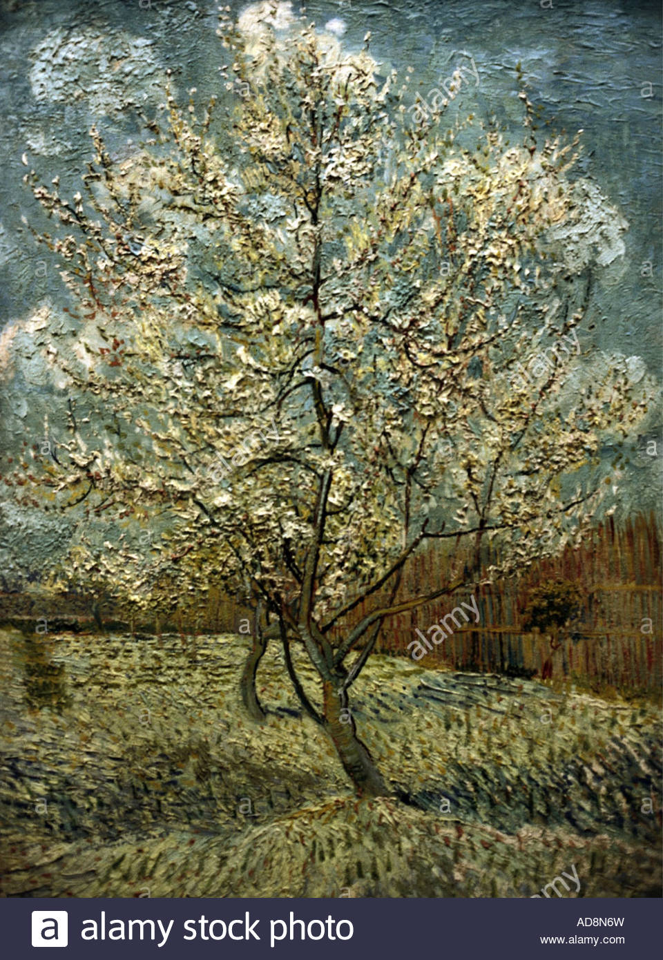 960x1390 Fine Arts, Gogh, Vincent Van, Painting, Fruit Tree In Bloom, Oil - Fruit Tree Painting
