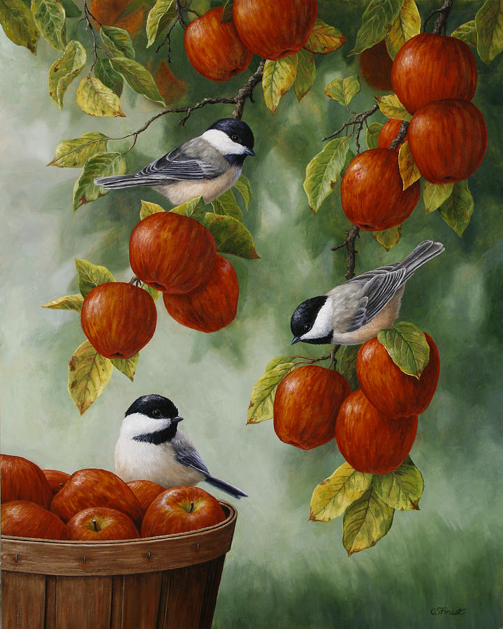 720x900 Bird Painting - Fruit Tree Painting