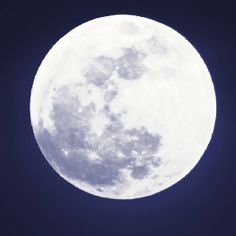 236x236 Bunny And The Full Moon - Full Moon Painting