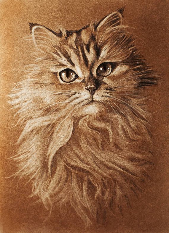 570x788 Pet Portraitcat Paintingcat Portraitcute Catfunny Catcat - Funny Cat Painting