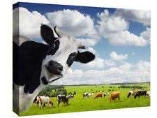 225x169 Cow Canvas Ebay - Funny Cow Painting