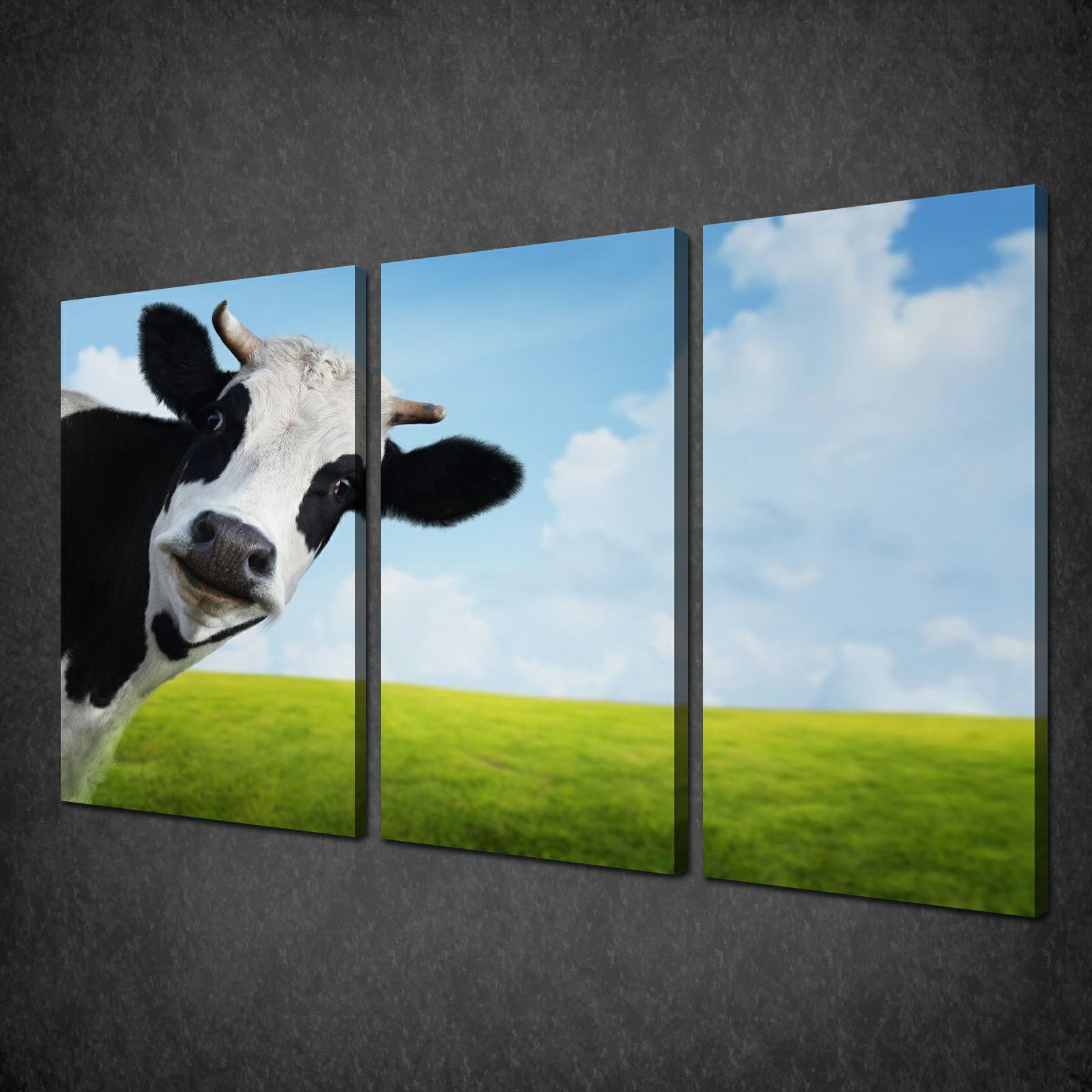 1600x1600 Funny Cow Blue Sky Animal Canvas Wall Art Print Picture Ready - Funny Cow Painting
