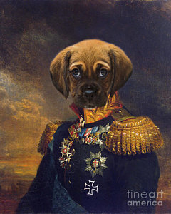 240x300 Funny Dog Paintings Fine Art America - Funny Dog Painting