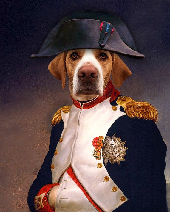 570x713 Pet Portrait, Napoleon Dog Portrait, Personalized Gift, Funny - Funny Dog Painting