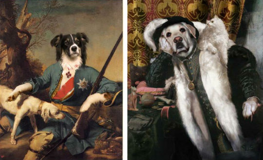 540x330 Wonderful Art Of Thierry Poncelet - Funny Dog Painting
