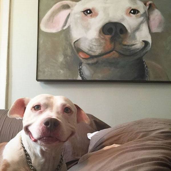 600x600 The Best Funny Pictures Of Smiling Dog Painting - Funny Dog Painting