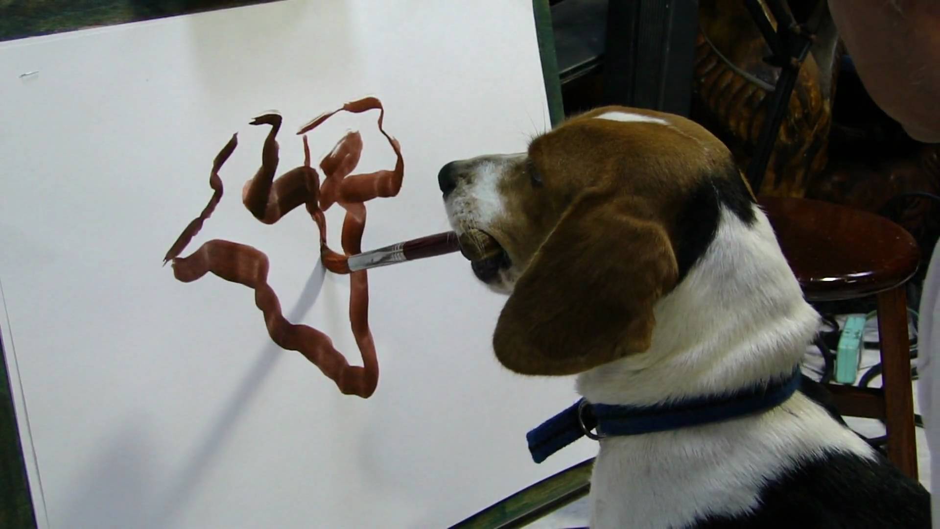 1920x1080 A Dog Knows How To Paint - Funny Dog Painting