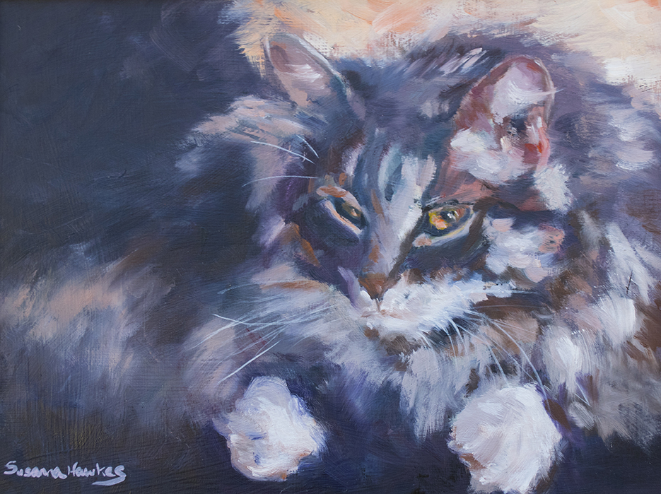 935x699 Susanna Hawkes Oil Painting. Mr Cat. Paintings Of A Furry Cat - Furry Painting