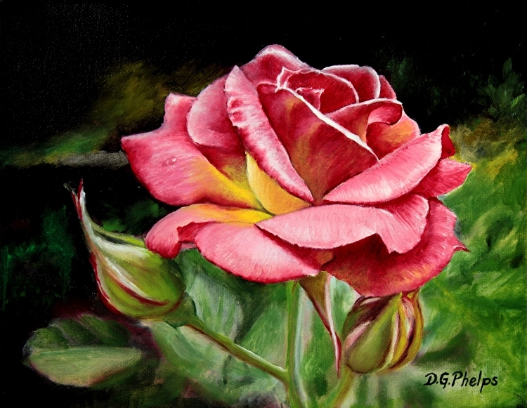 750x581 Pink Rose Painting Titled Comparator Rose Delmus Phelps - G Rose Painting