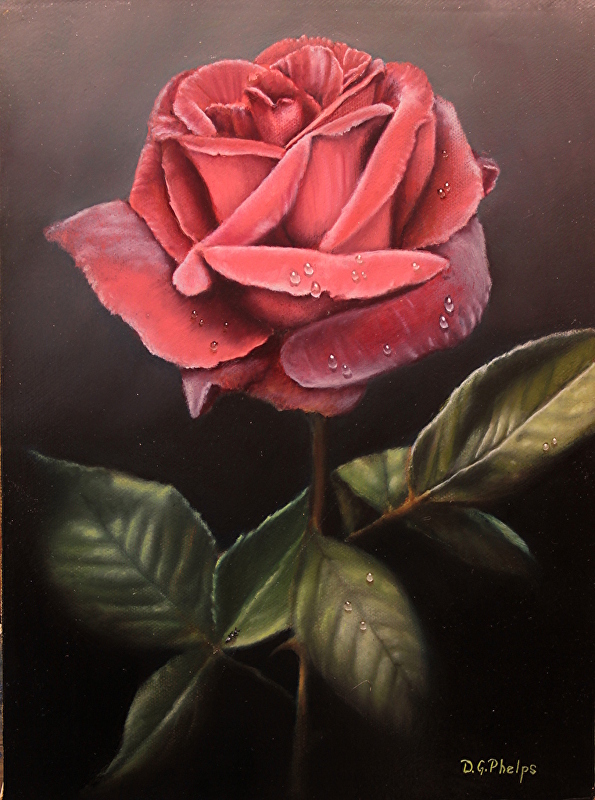 595x800 Red Rose Art, Red Rose Painting, Rose Flower Art, Realism Art - G Rose Painting