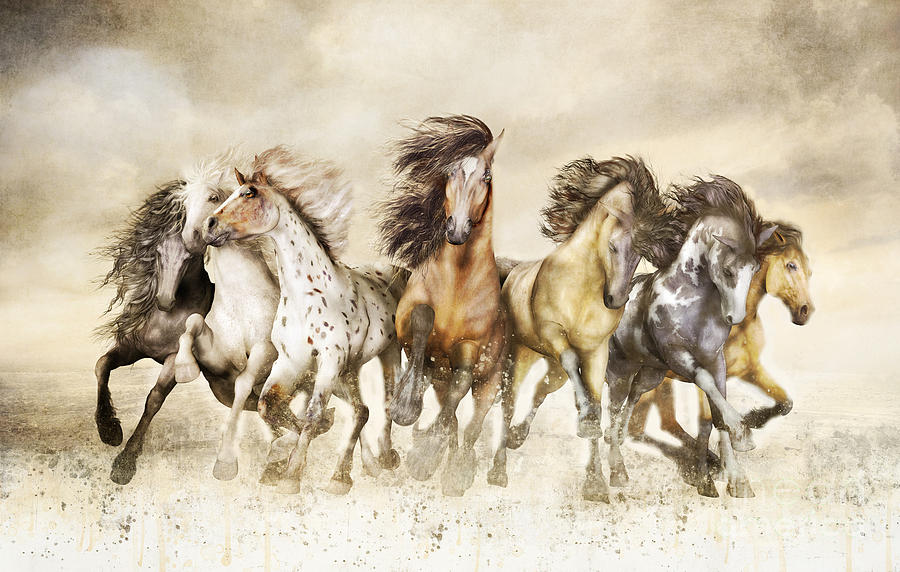 900x572 Galloping Horses Magnificent Seven Digital Art By Shanina Conway - Galloping Horse Painting
