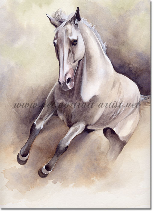 515x704 Watercolour Painting Of A Horse, By Joanna Culley - Galloping Horse Painting