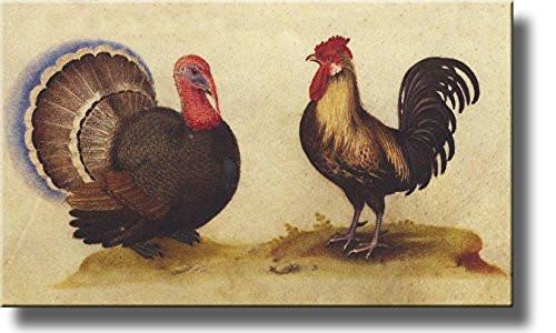 500x300 Gallus Rooster Turkey Painting Picture On Stretched Canvas, Wall - Gallus Painting