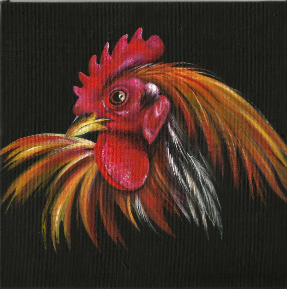 570x575 Rooster Portrait Gallus Small Format Art 8 X 8 Original - Gallus Painting